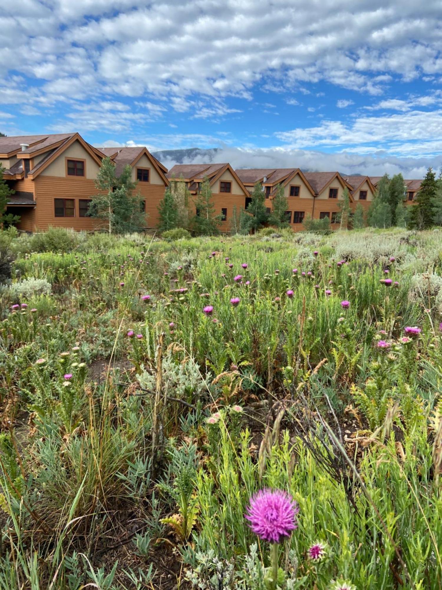 Antlers Gulch 303 By Summitcove Lodging Keystone Exteriör bild